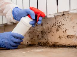 Best Mold Remediation for Vacation Homes  in Hot Springs, SD